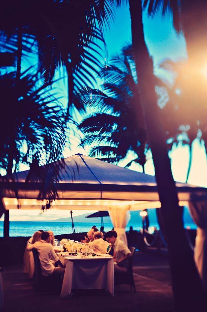 Cabana w/ Palms Evening